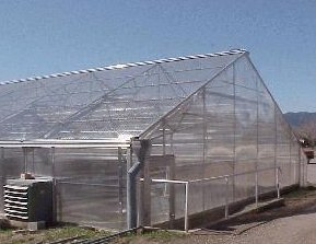 Modern greehouses are a perfect locations for the GS-V Aeroponic System., without the need of artificial lights