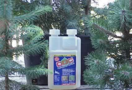 Blue spruce and pines enhanced by ODC