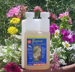 BEYOND will improve all your plants  - perfect for organic growing