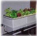 True Aeroponic Systems for clean food & crops