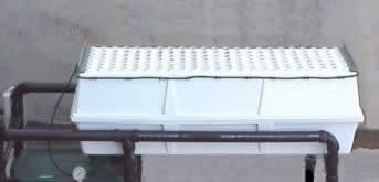 Single Aeroponic Chamber 