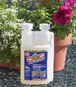 ODC all natural promoter and enhancer 