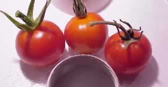 'Cherry' tomatoes - ripen in less than 30 days!