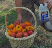 Increase harvest yields naturally