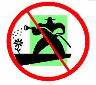 Don't waste that water - grow with aeroponics and reuse every valuable drop