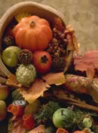 Increase harvest yields naturally