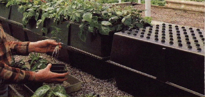 Large installations include nutrient and water recycling equipment
