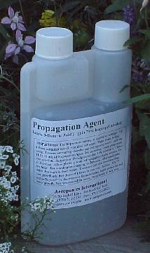 Propagation Agent
