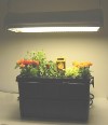 Horizontal Unit w/ Light Array