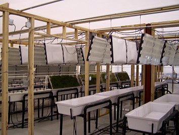 AgriHouse's hi-efficiency Light arrays