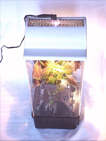 Pro BenchTop Unit