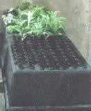 Growth Chamber for aeroponic and hydroponic growing.