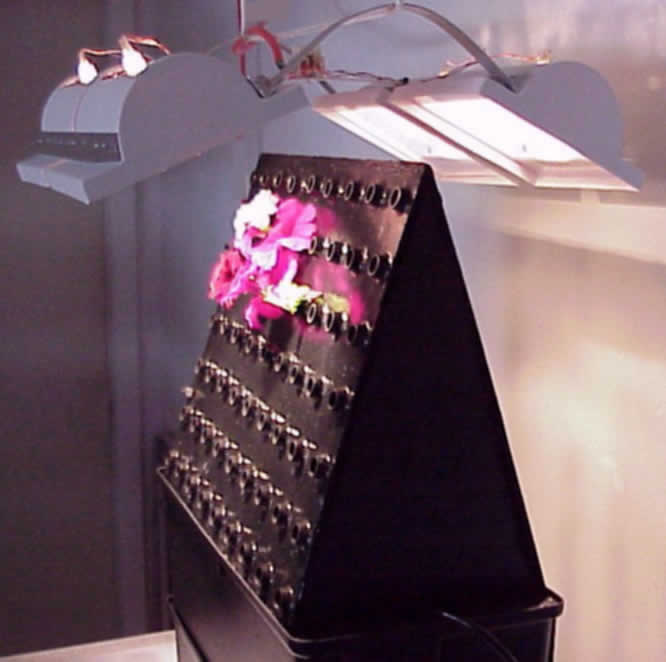 Aeroponic High Capacity Unit & Light Array 
