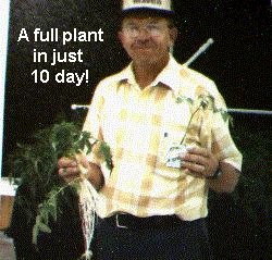 Why is this grower smiling? He reduced his tomato planting to harvesting by 58 days!