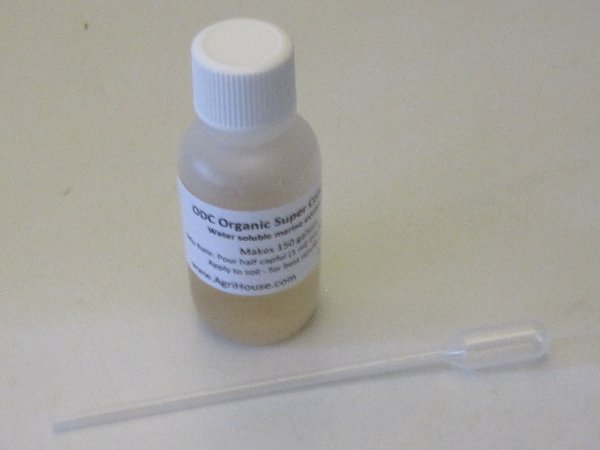 ODC Organic Super Concentrate -  1.1 fl oz (33ml) w/dropper